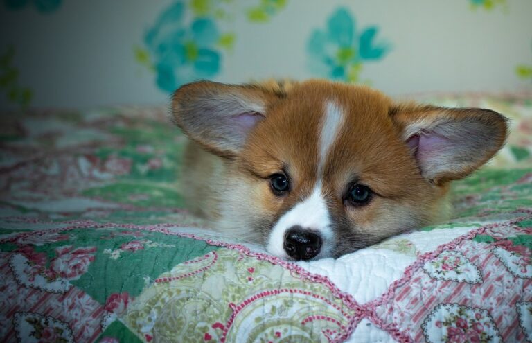 99exch Review: Features, Security, and Market Impact of the Emerging Trading Platform